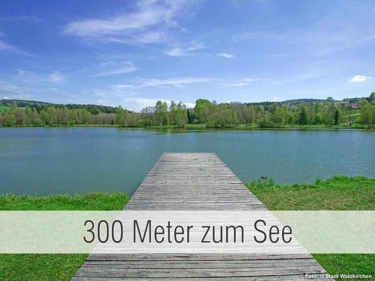 Huette41: Ganze Huette Nah Am See Mit Privatem Whirlpool, Sauna. Umzaeunt. Waldkirchen Extérieur photo