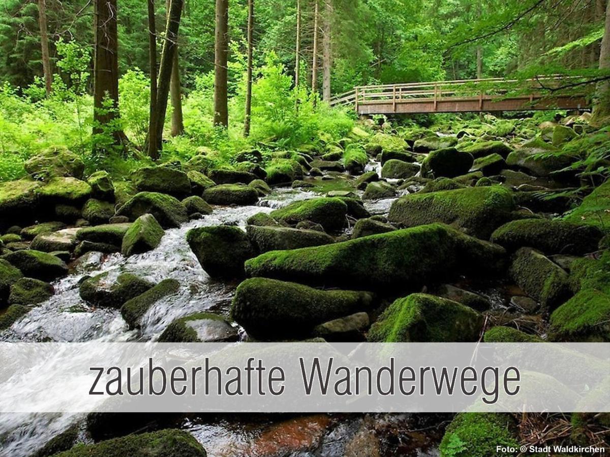 Huette41: Ganze Huette Nah Am See Mit Privatem Whirlpool, Sauna. Umzaeunt. Waldkirchen Extérieur photo