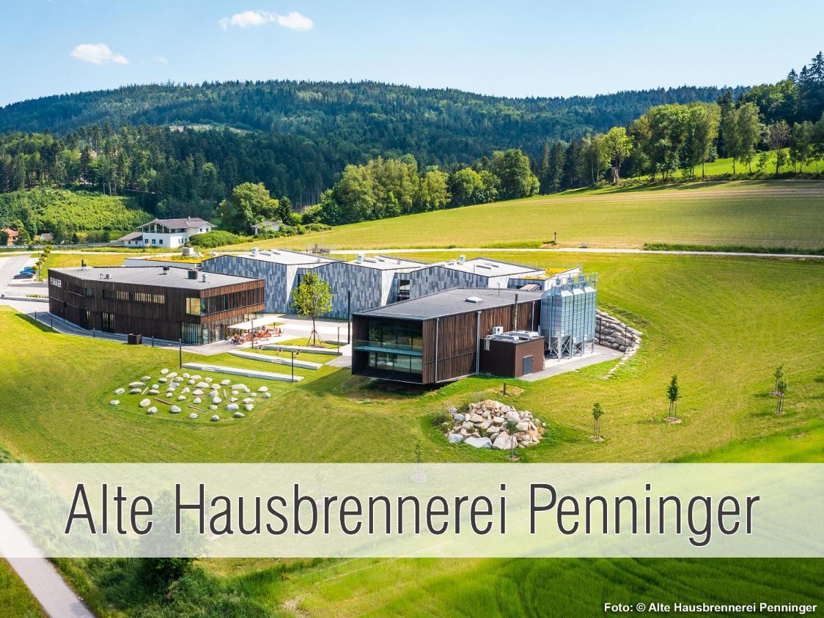 Huette41: Ganze Huette Nah Am See Mit Privatem Whirlpool, Sauna. Umzaeunt. Waldkirchen Extérieur photo